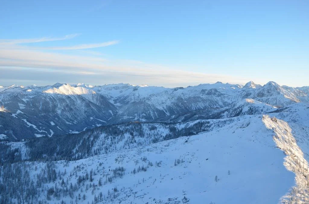 Haus Dachstein Schnitzer