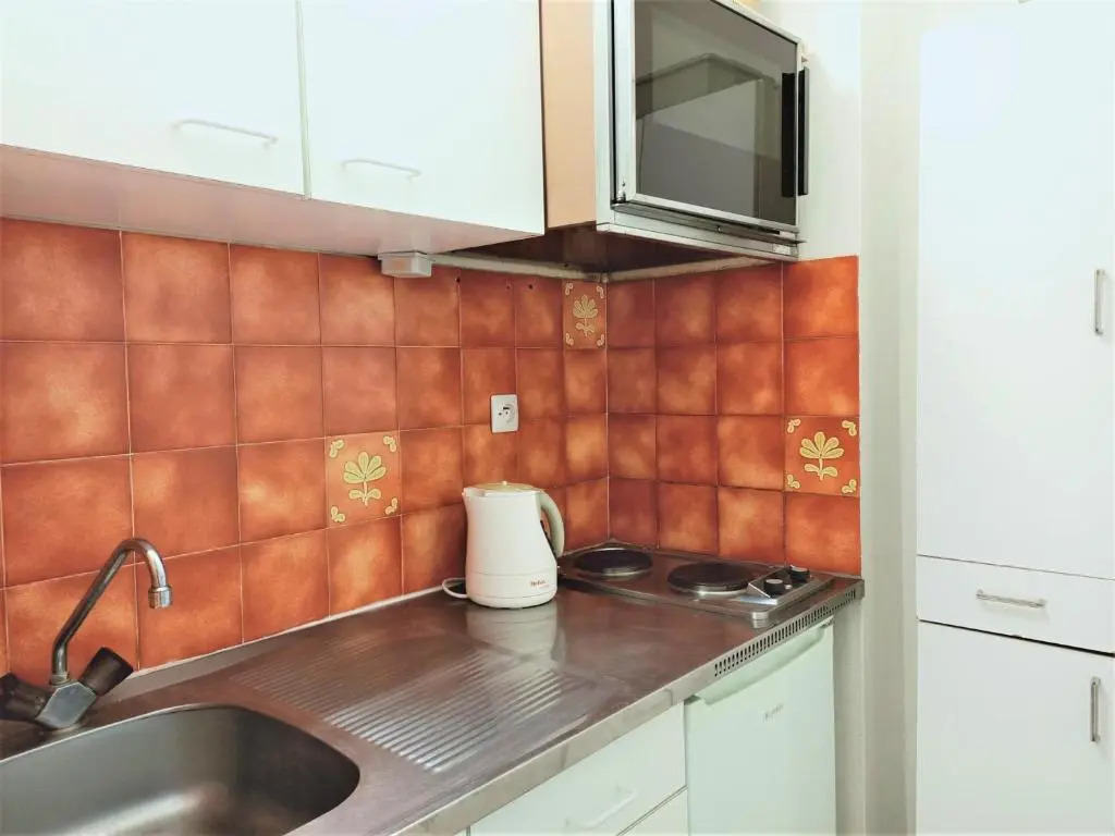 Appartement Aix-les-Bains, 1 pièce, 1 personne - FR-1-555-36