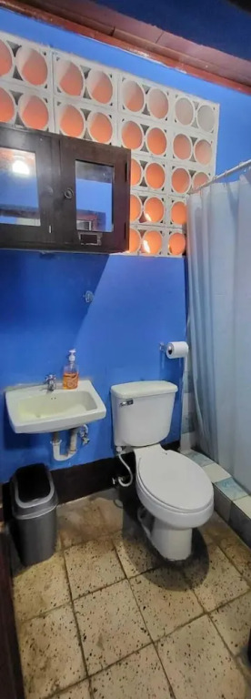 Hostal Cisne House