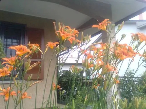 Le Magnolie B&B - MM2 Bussero - Milano Cortina