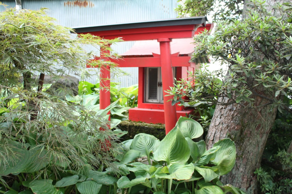 Tamonkan