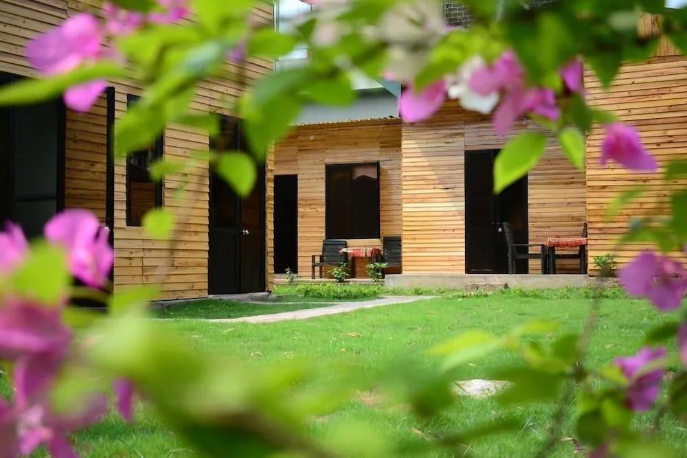 Golden Jungle House