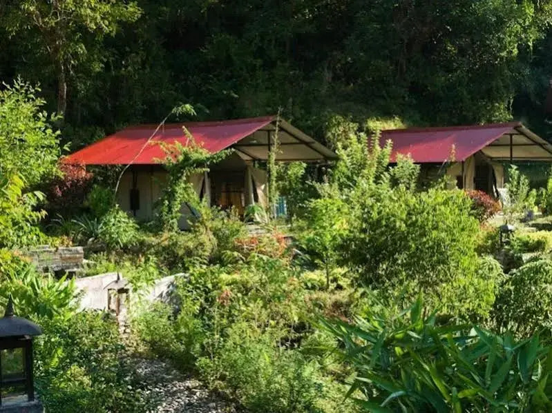 The Last Resort - Safari Tent