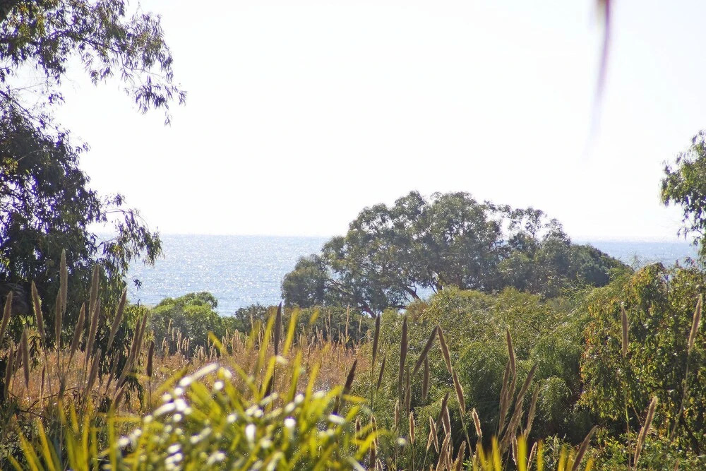 1150 Beachfront 2. Line Sea View Apartment 1. Line Dunes 2 Pools