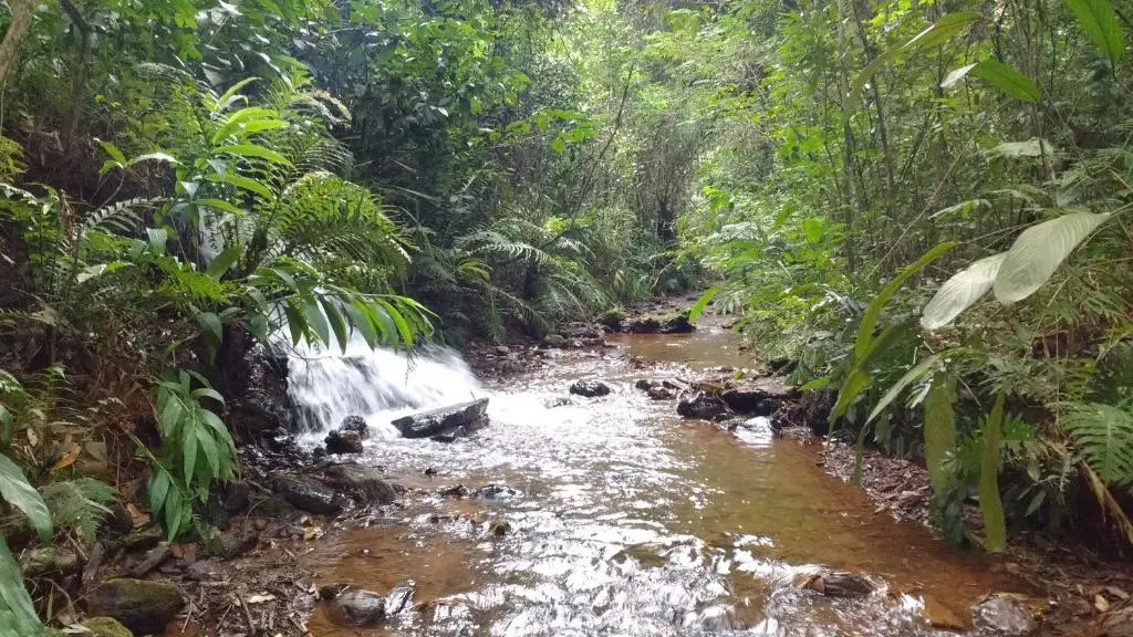 Espaço Viverde Pousada e Retiros