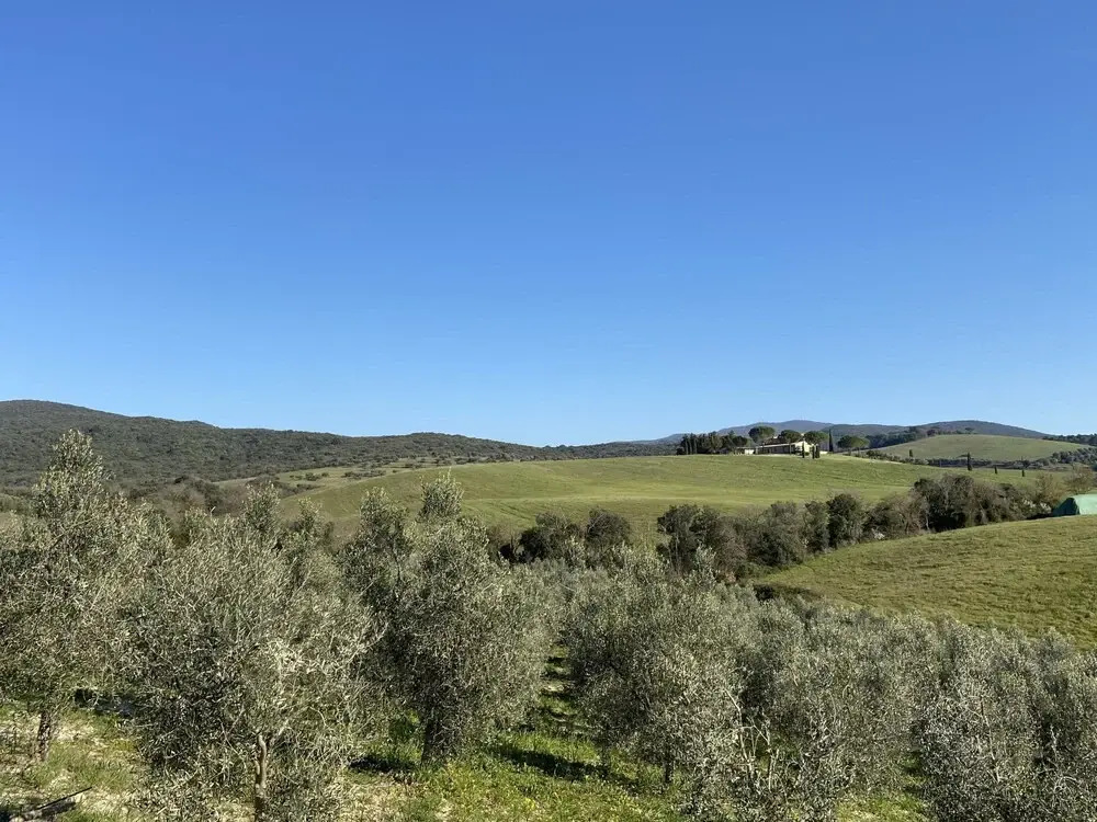 Holiday Home Il Fienile by Interhome