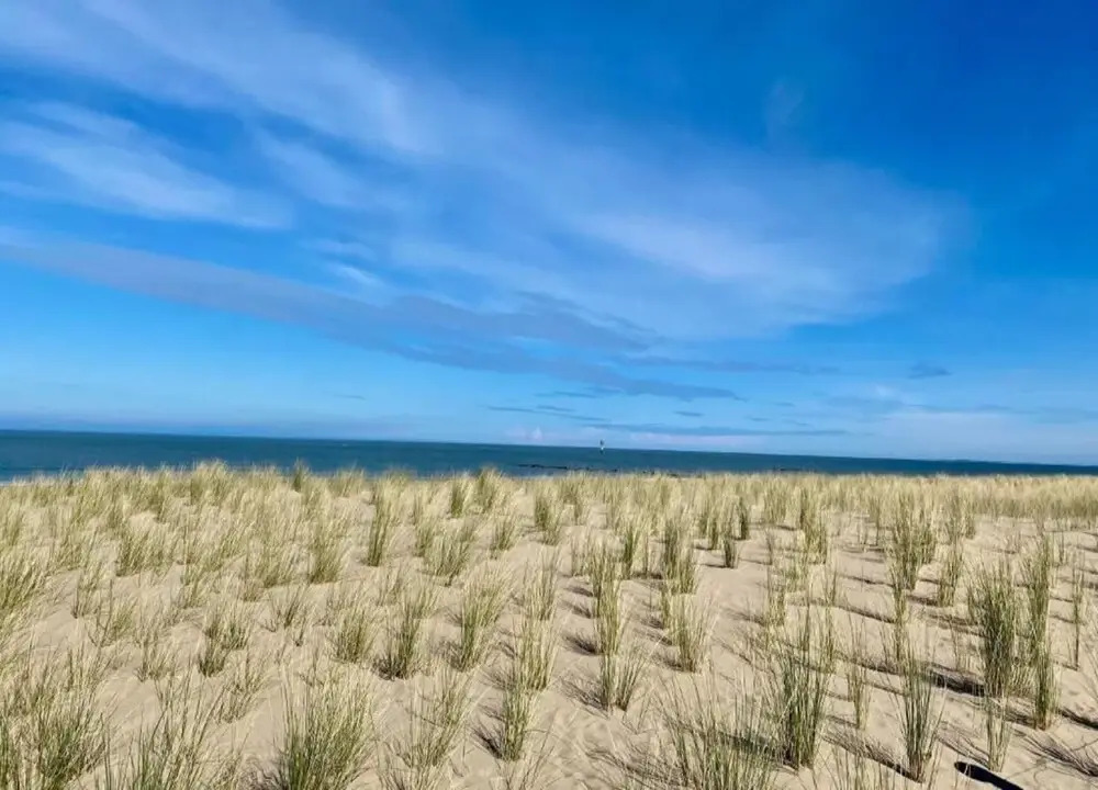 Knokke City Centre Apartment for 6