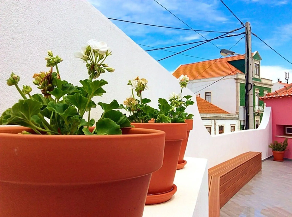 Mercearia DAlegria Boutique B&B