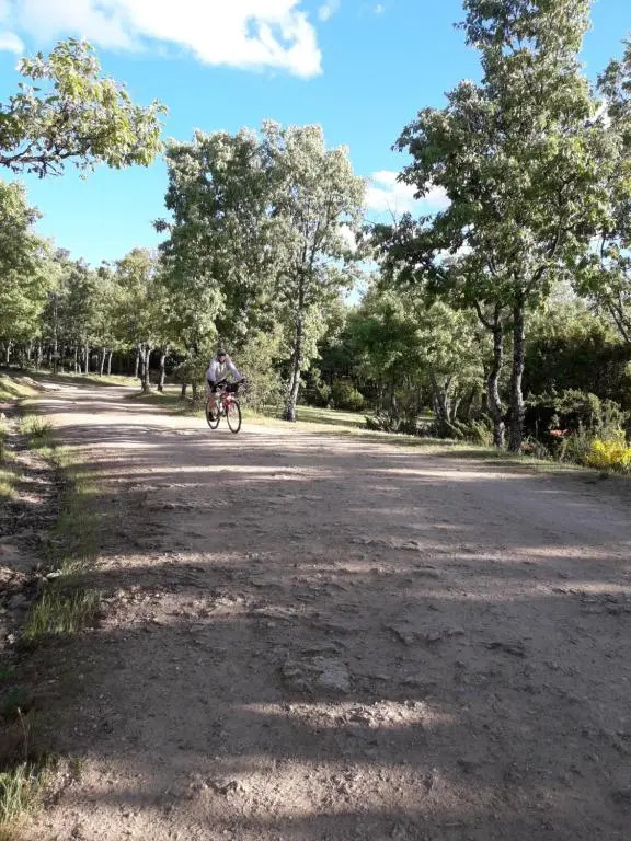 Zaguan
