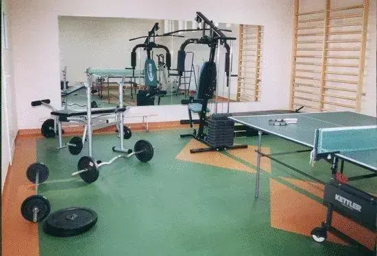 Hotel Chemik