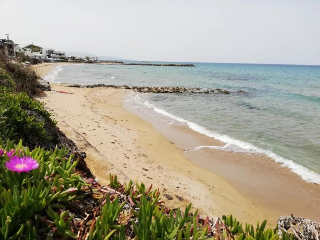 Pan Asia Seaview Apartment