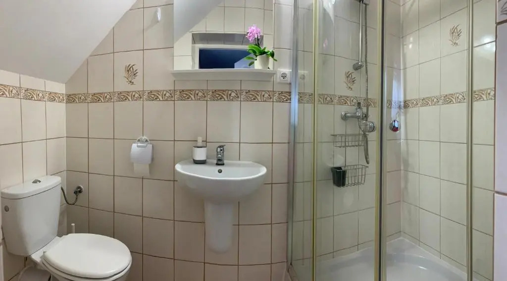 Apartamenty Pod Lwami