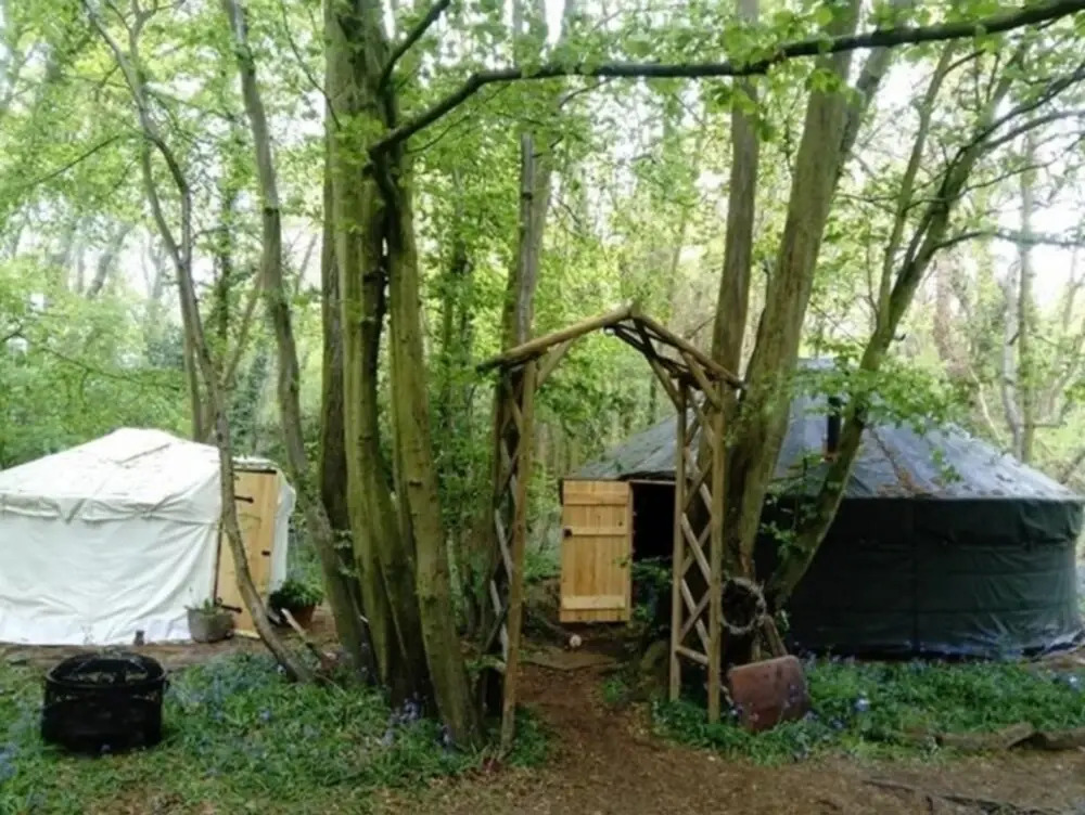 Ancient Woodland Retreat