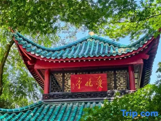 Runwu Homestay (Wuyi Square & IFS Center)