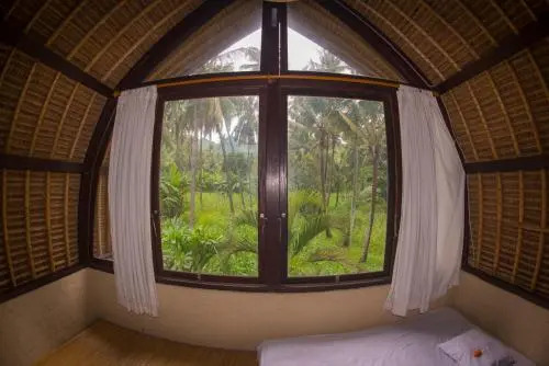 Pacha Hostel