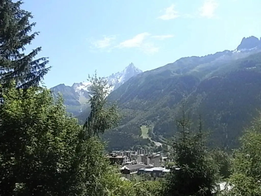 Appartement Chamonix-Mont-Blanc, 1 pièce, 3 personnes - FR-1-517-27
