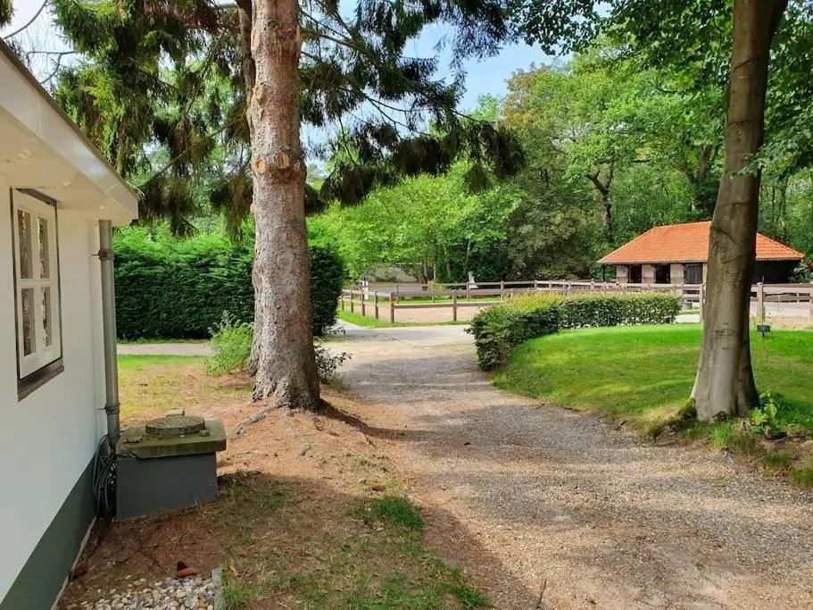 Midden in de Friese bossen op landgoed Princenhof