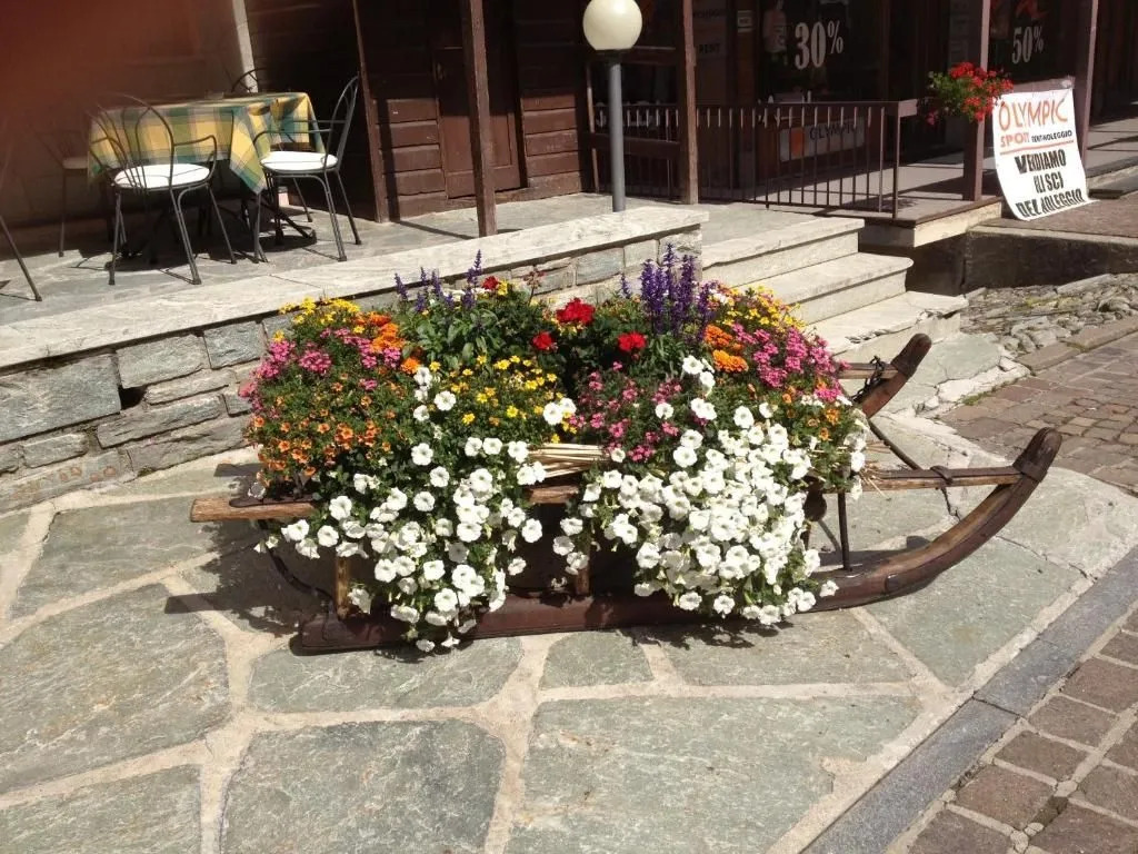 Albergo Soldanella