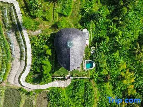 Wiwaka Bamboo House
