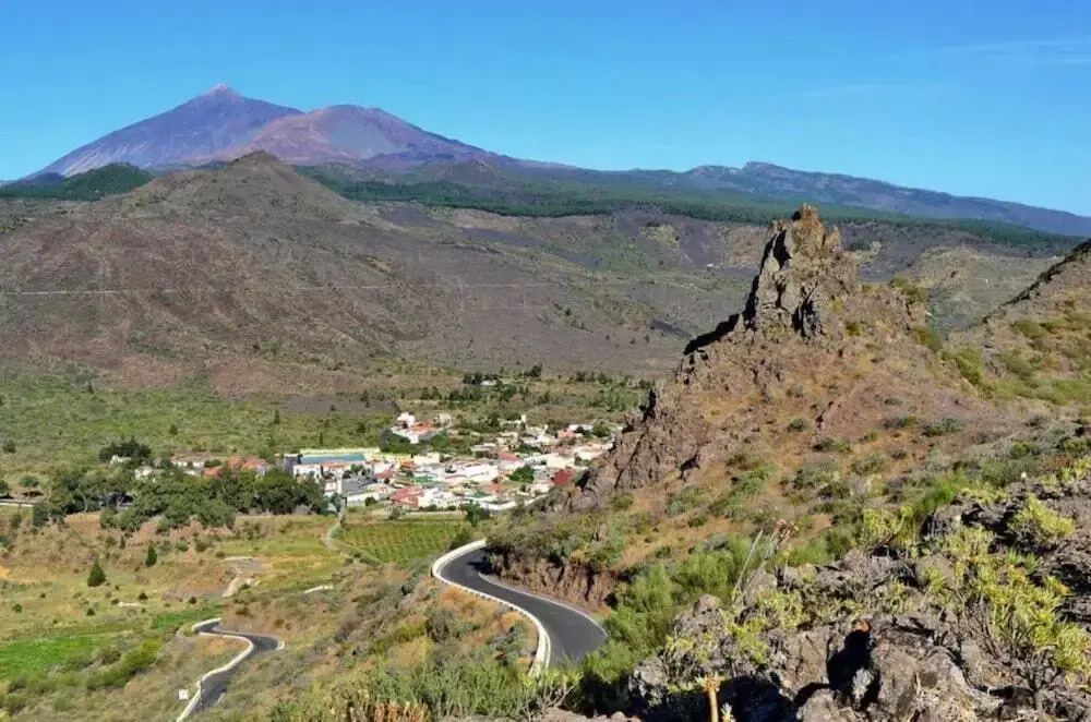Apartment in Tenerife 100500