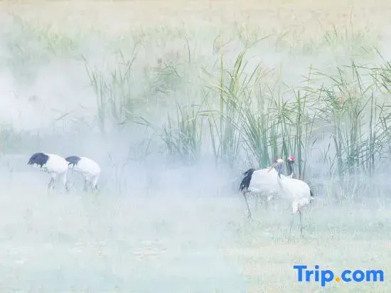 Xianghai Huanlangyu homestay