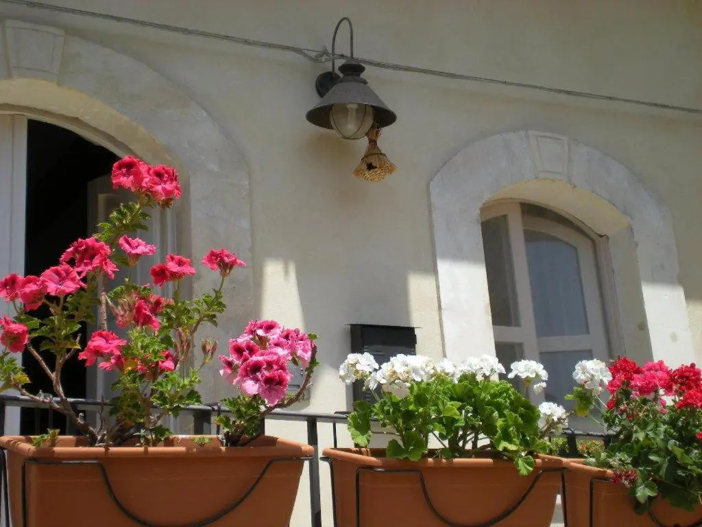 Chicchi Di Melograno
