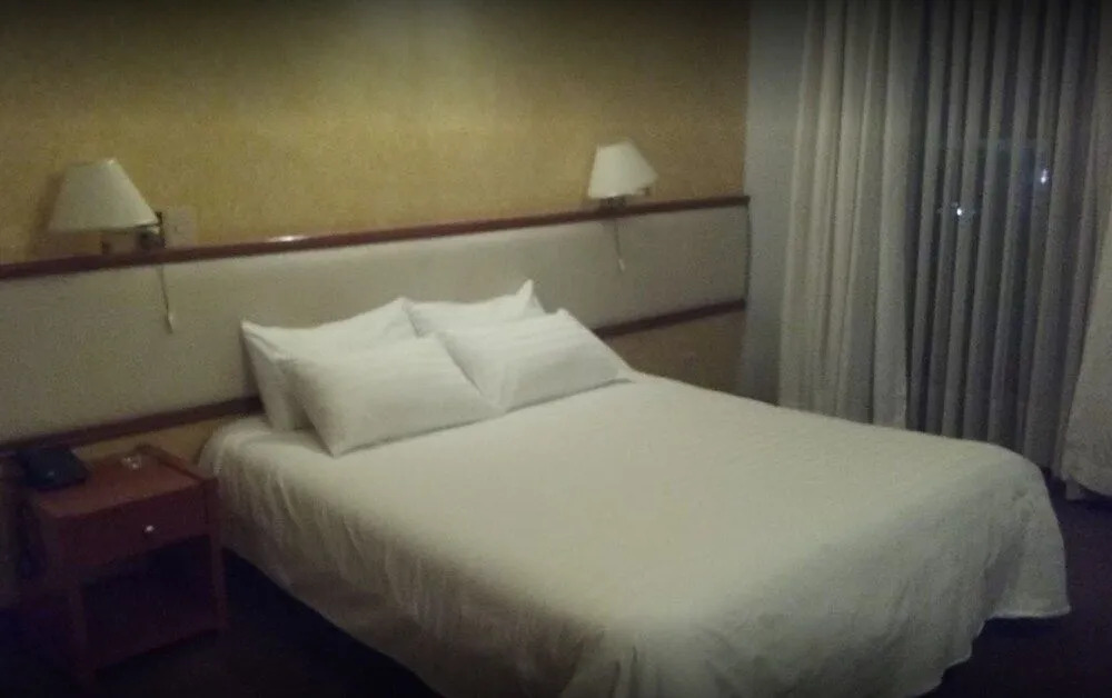 Hotel Viña del Sur