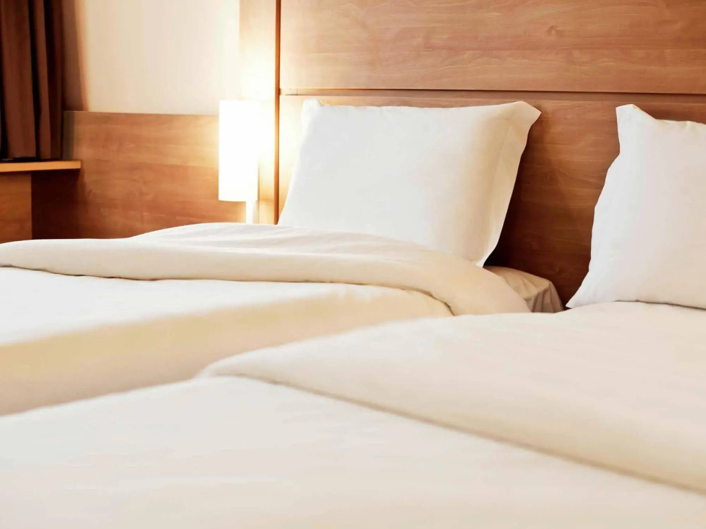ibis Novo Hamburgo