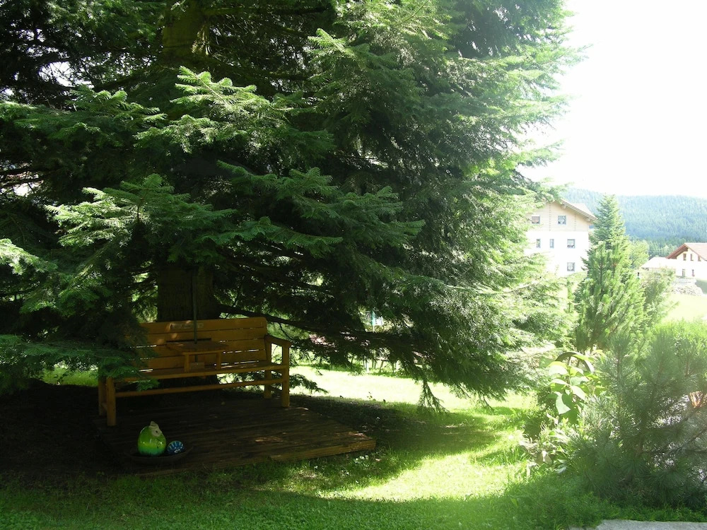 Arberblick