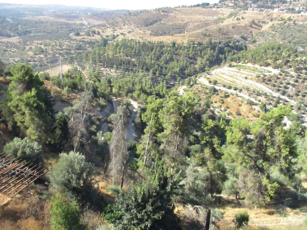 view haari