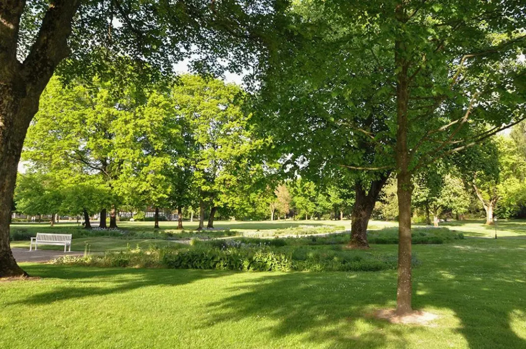Parkblick Bad Driburg
