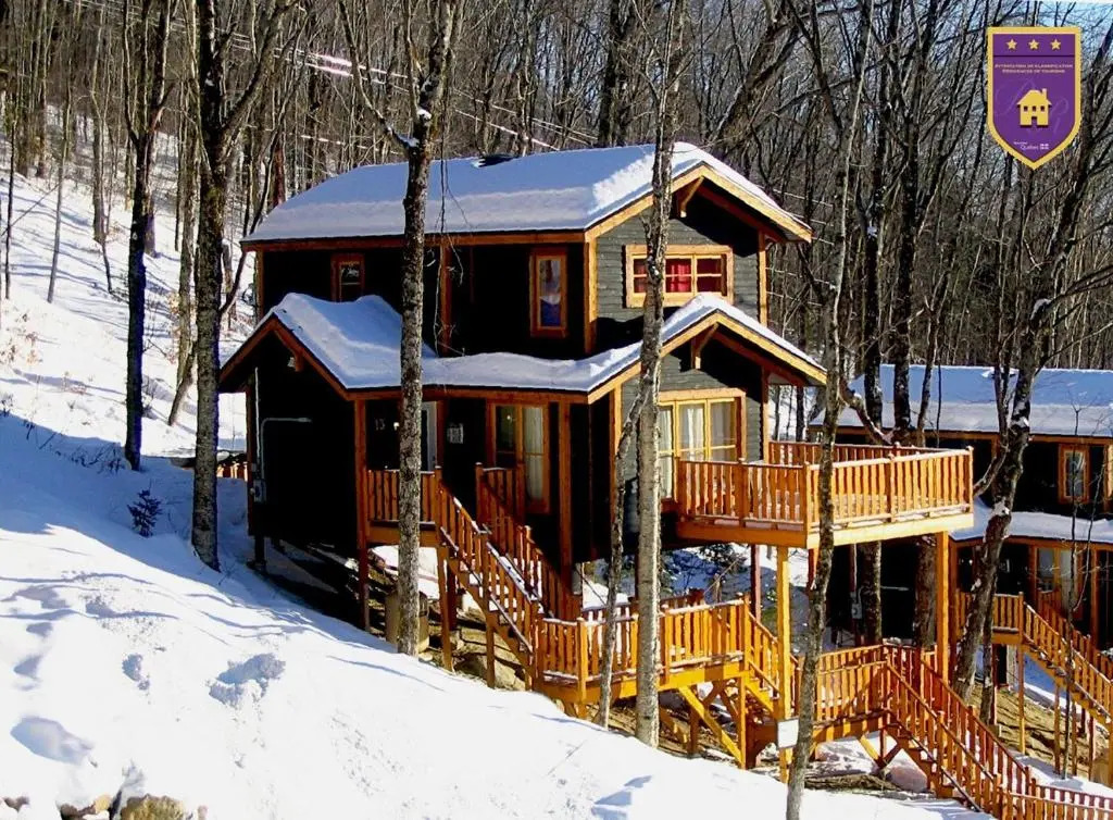 Chalets Alpins 13 Chemin Alpin