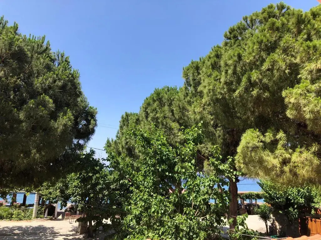 Özdemir Otel Datça