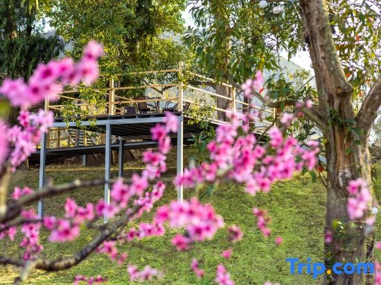 Xianju county qiye camping base