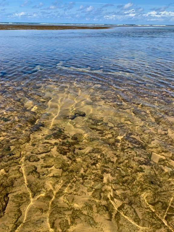 temporada4estacoes, nos siga no insta! Praia do Forte