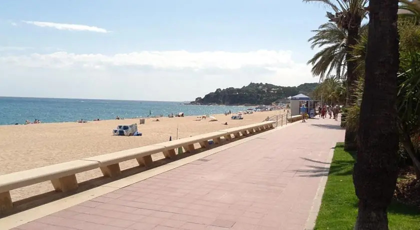 Francisca Beach-City