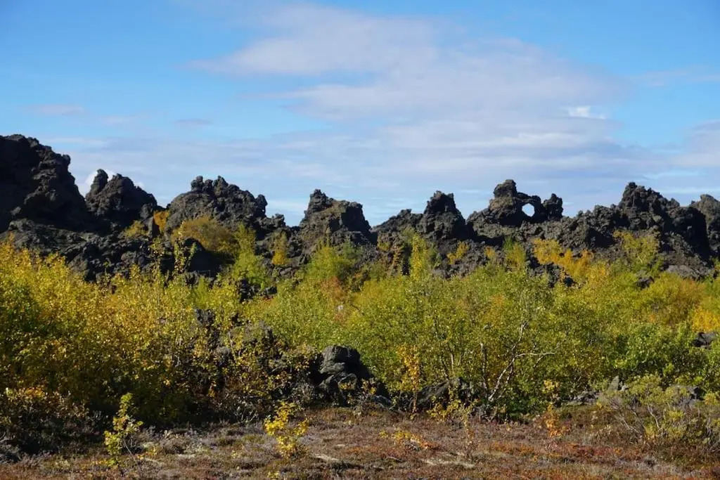 Slow Travel Mývatn - Ólis Homestay-Private house v