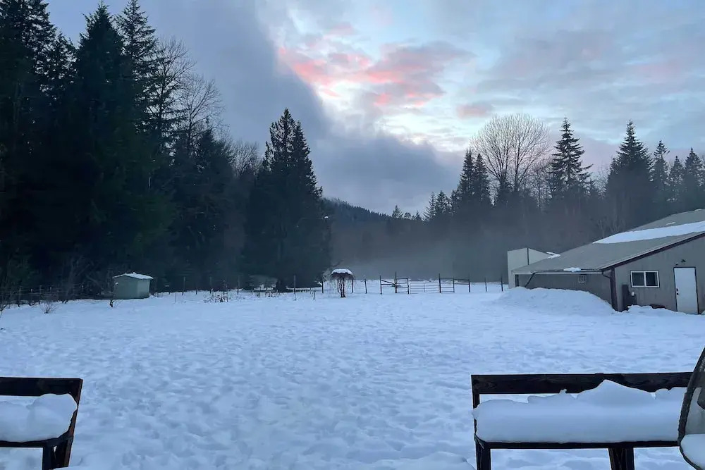 Packwood Getaway w/ Game Room, Grill & Patio