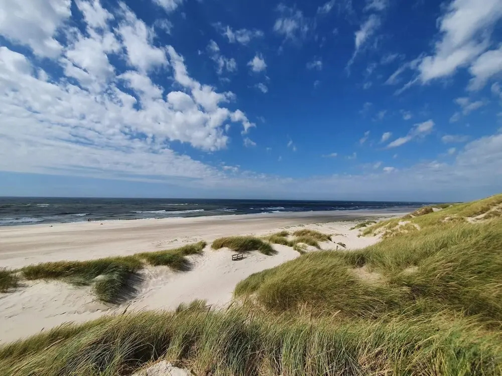 4 star holiday home in Henne