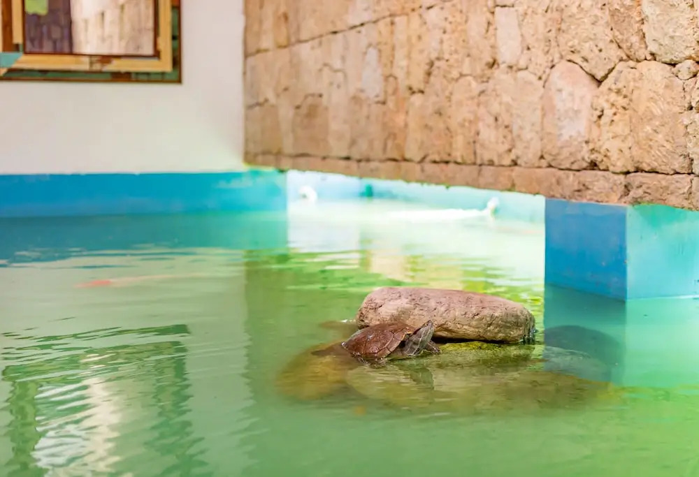Gorgeous Villa at Casa de Campo