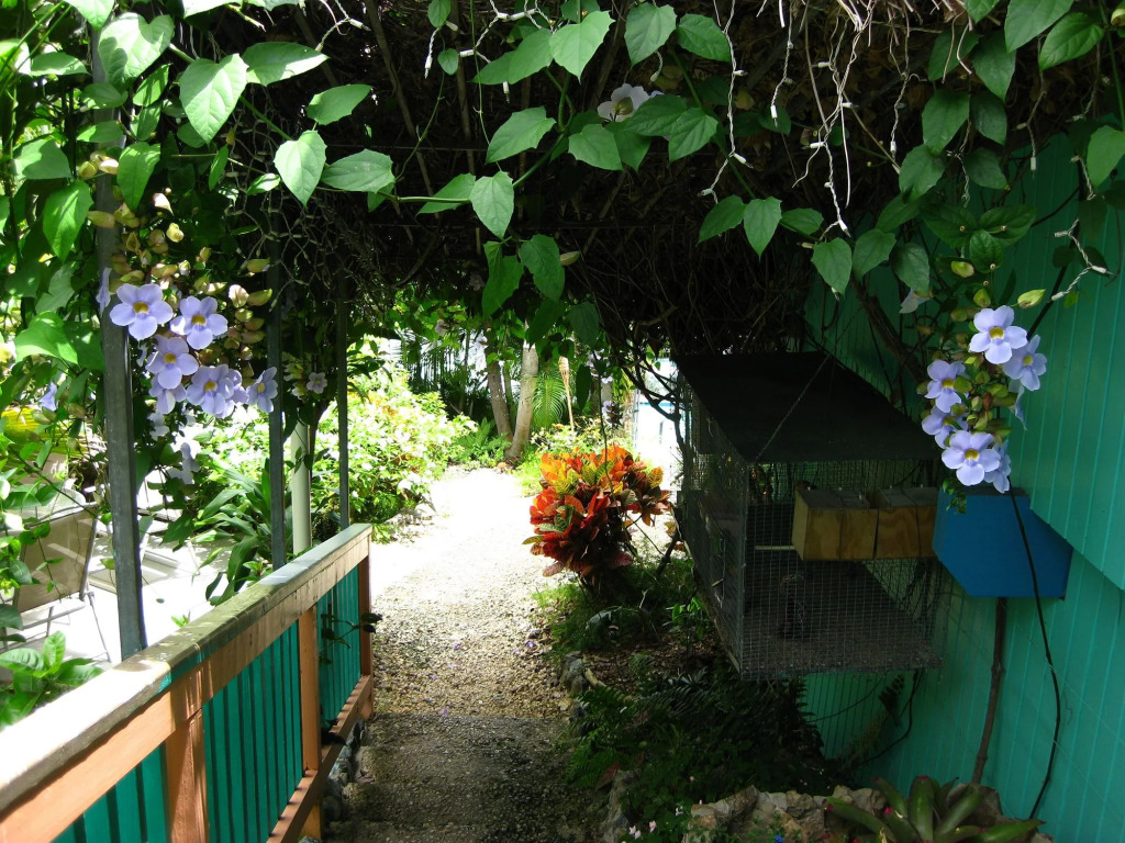 Lazy Parrot Inn