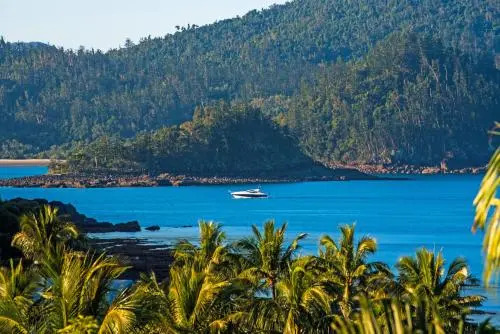 Superior Poinciana 011 on Hamilton Island