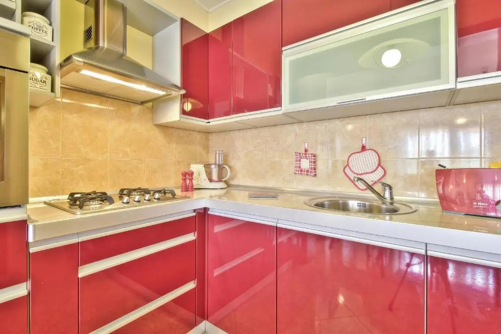 Apartment Roko