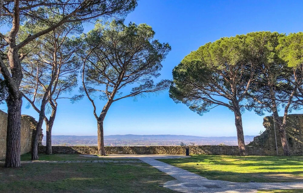 Stunning Apartment in Castiglion Fiorentino With Outdoor Swimming Pool, Wifi and 1 Bedrooms