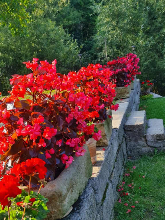 Sieraton Pokoje i Apartament
