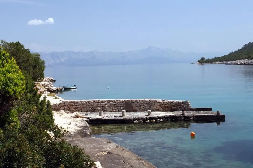 Sea View - 7 m From Beach - A1