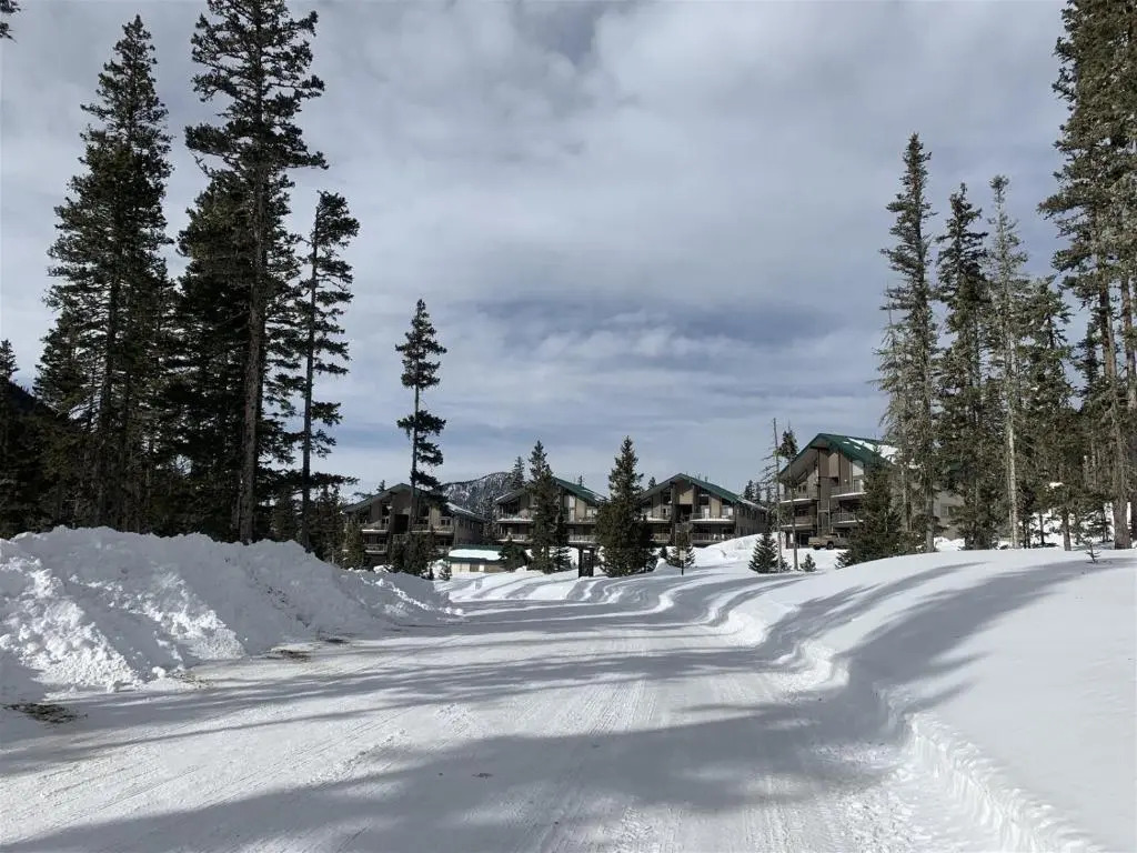 Wheeler Peak 401