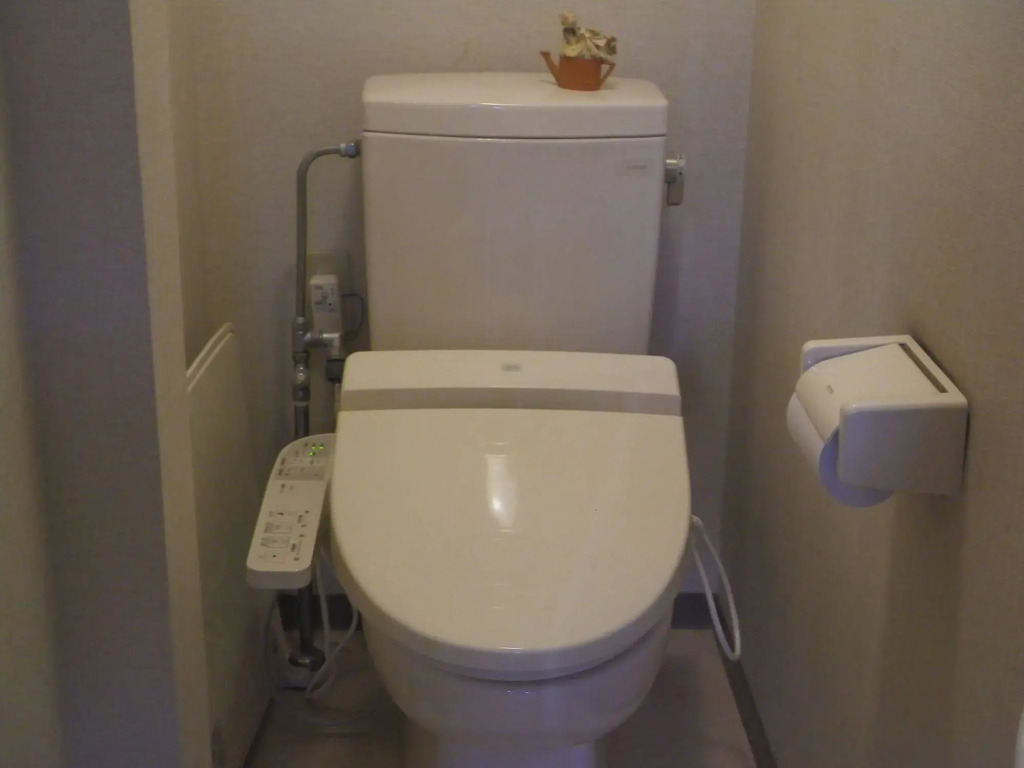 Chuokan Shimizuya Ryokan