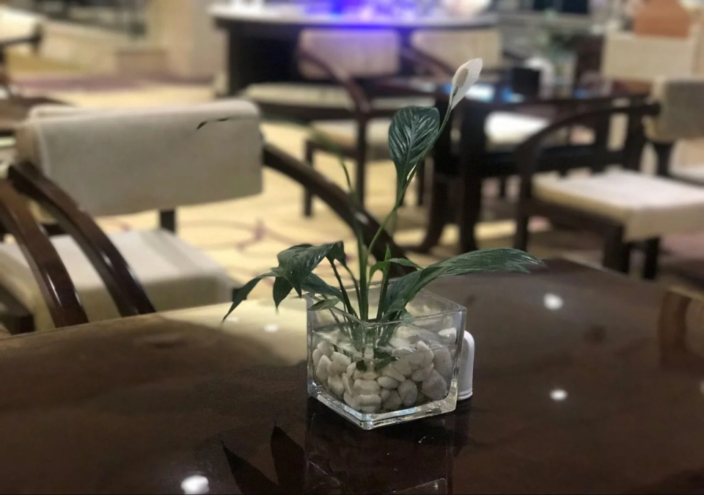Sun Moon Lake Hotel Dalian大连火车站店