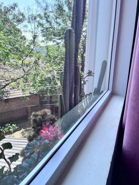Lak View hotel